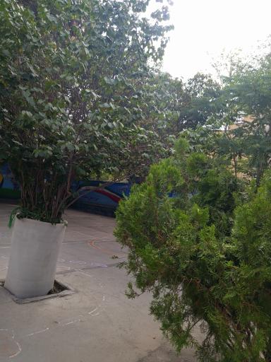 عکس دبستان کسب و کار پسرانه آپادانا 