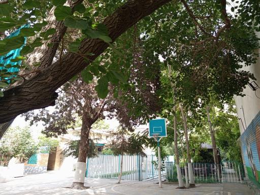 عکس دبستان کسب و کار پسرانه آپادانا 