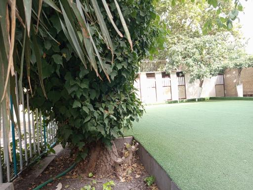 عکس دبستان کسب و کار پسرانه آپادانا 