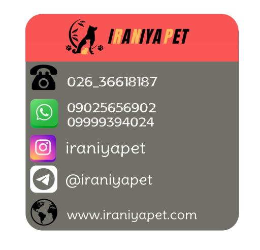 پخش ایرانیاپت