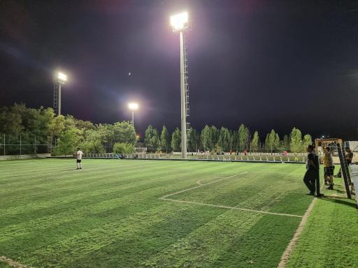 عکس زمین چمن مصنوعی باراجین