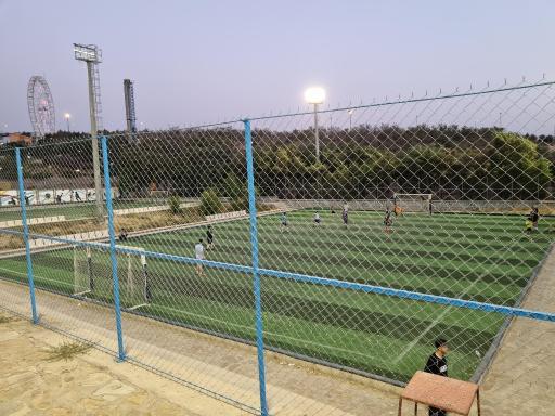 عکس زمین چمن مصنوعی باراجین