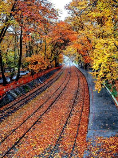 عکس ایستگاه راه آهن بیشه