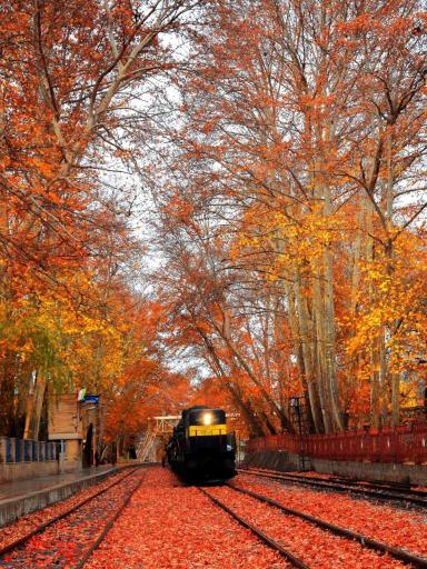 عکس ایستگاه راه آهن بیشه