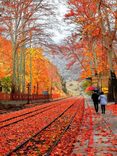 عکس ایستگاه راه آهن بیشه