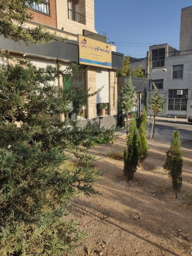 عکس بیمه کوثر ملکوتی خواه