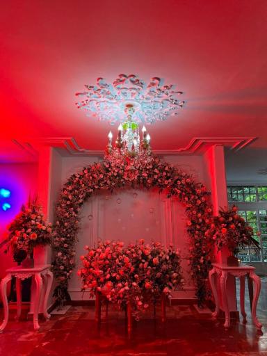 عکس تشریفات نور و صدای ردلاین