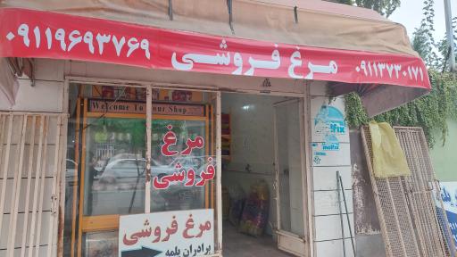 عکس مرغ فروشی برادران طاهر یلمه