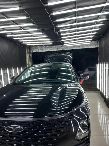 عکس تشخیص رنگ سید