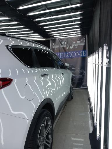 عکس تشخیص رنگ سید