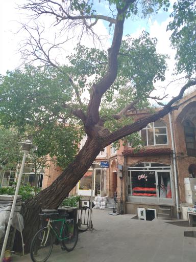 عکس تیمچه صاحب دیوان 