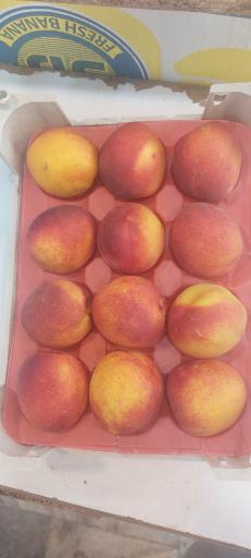 عکس میوه فروشی تمشک