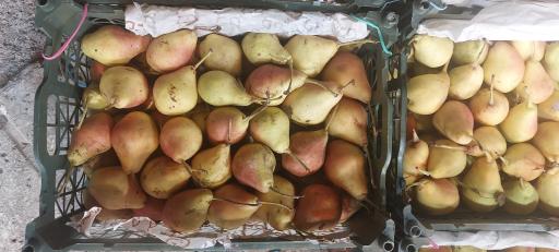 عکس میوه فروشی تمشک