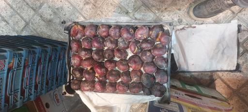 عکس میوه فروشی تمشک