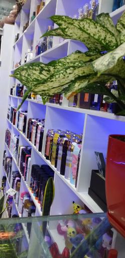 عکس عطر و ادکلن پارمیس