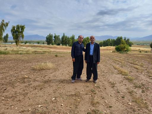 عکس گلم کبود علیا