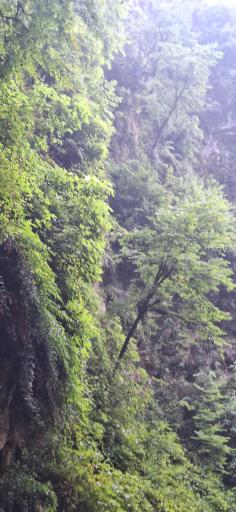 عکس نشتارود