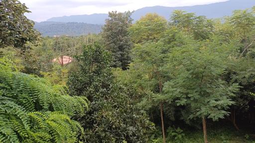 عکس نشتارود