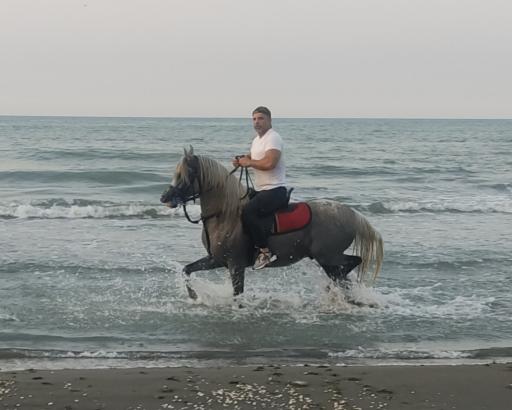 عکس نشتارود