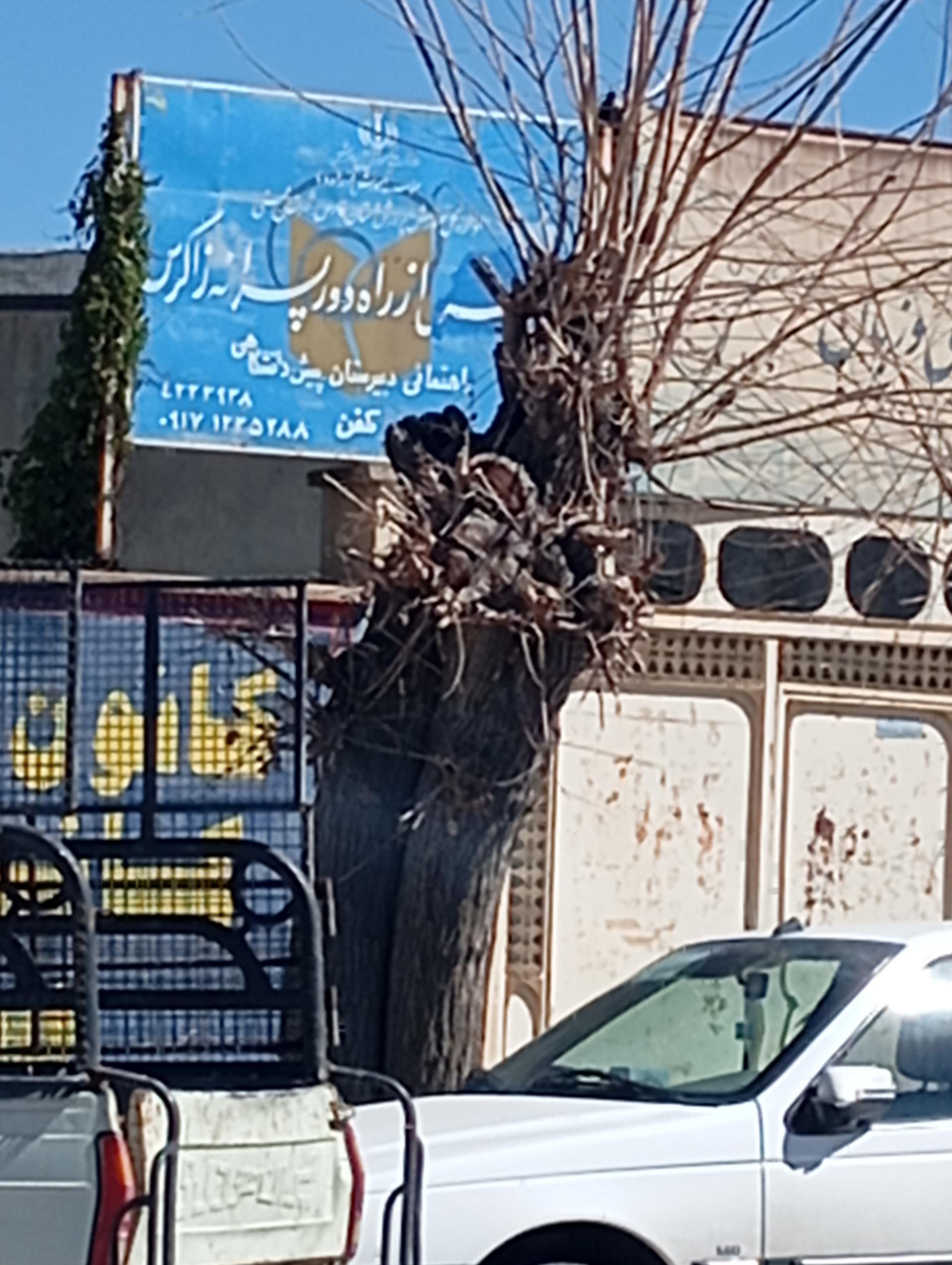 عکس مدرسه از راه دور پسرانه زاگرس