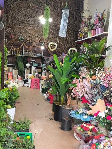 عکس گل فروشی میخک طلایی 