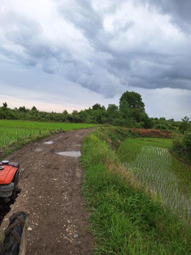 عکس نشتارود