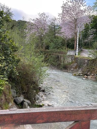عکس نشتارود