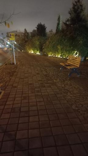 عکس  باغ گلها