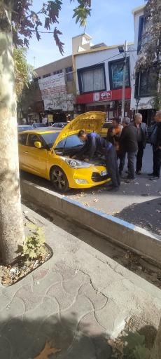 عکس کارنیک حسین