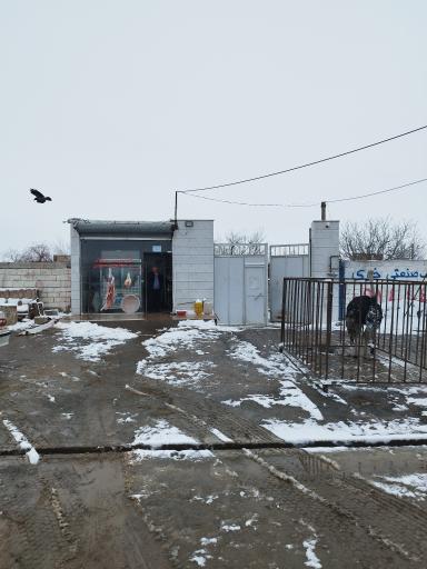 عکس قصابی علیلو 