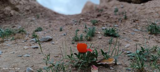 عکس قلعه قدیمی پاژ