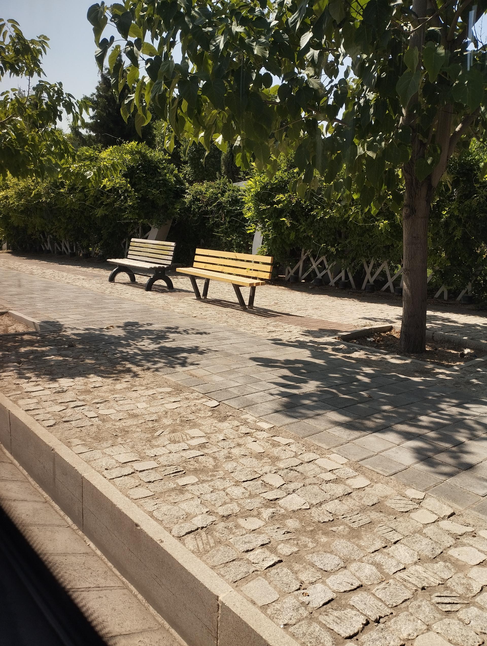 عکس  باغ گلها