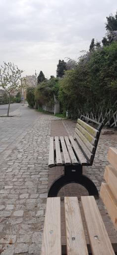 عکس  باغ گلها