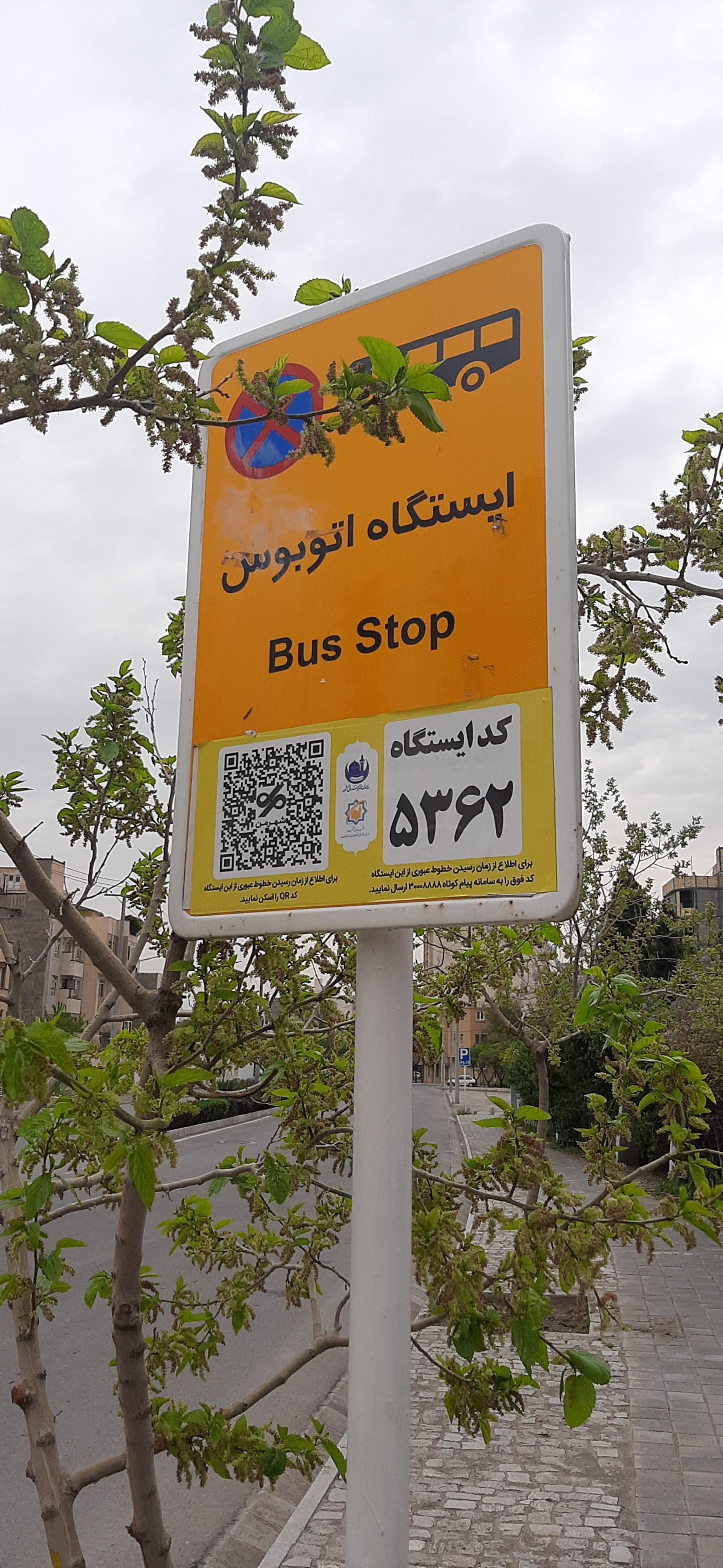 عکس  باغ گلها