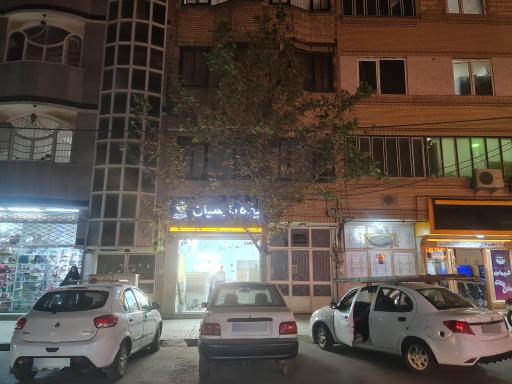 عکس بیمه پارسیان مهدی دوستی ۵۰۴۸۵۸
