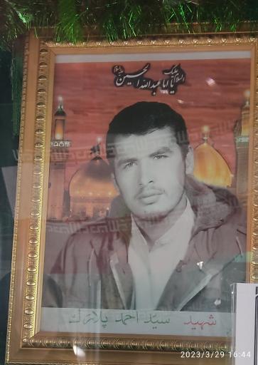 عکس مزار مادر شهید پلارک