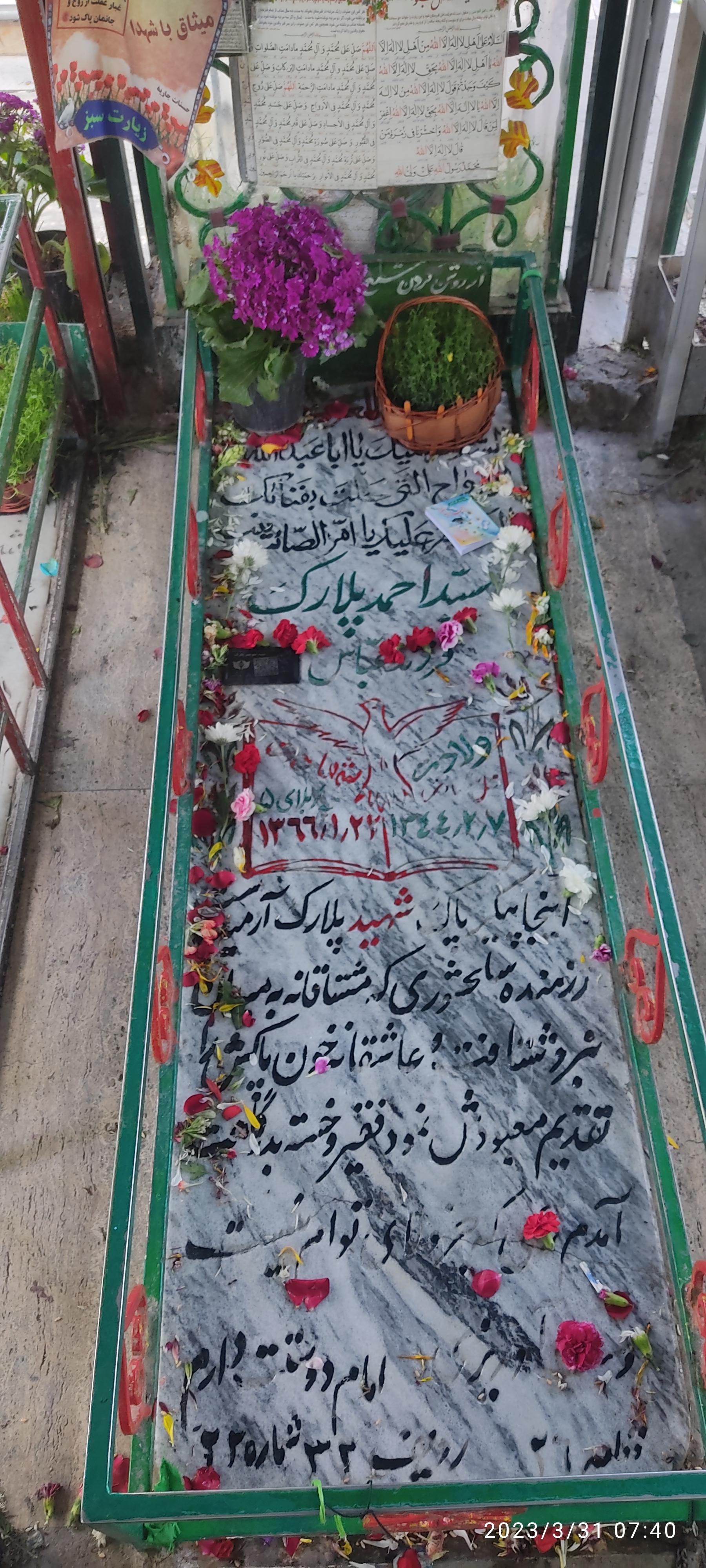 عکس مزار مادر شهید پلارک