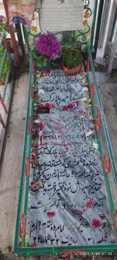 عکس مزار مادر شهید پلارک