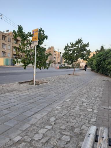 عکس  باغ گلها