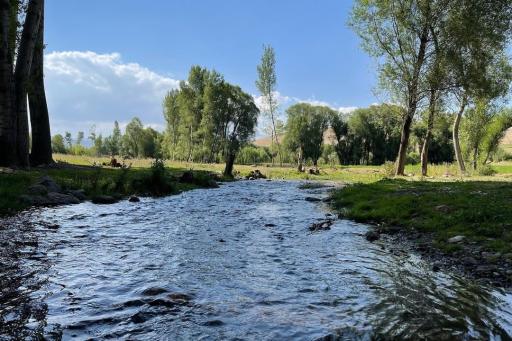 عکس مجموعه تفرجگاه بولاغلار نیر