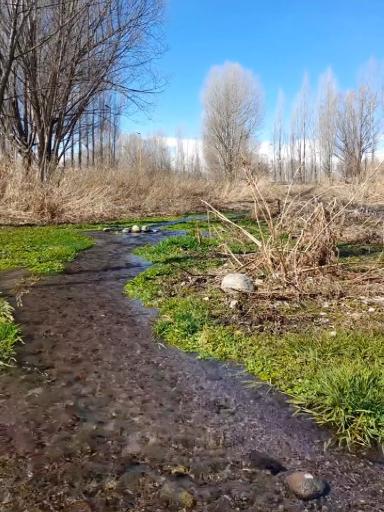 عکس مجموعه تفرجگاه بولاغلار نیر