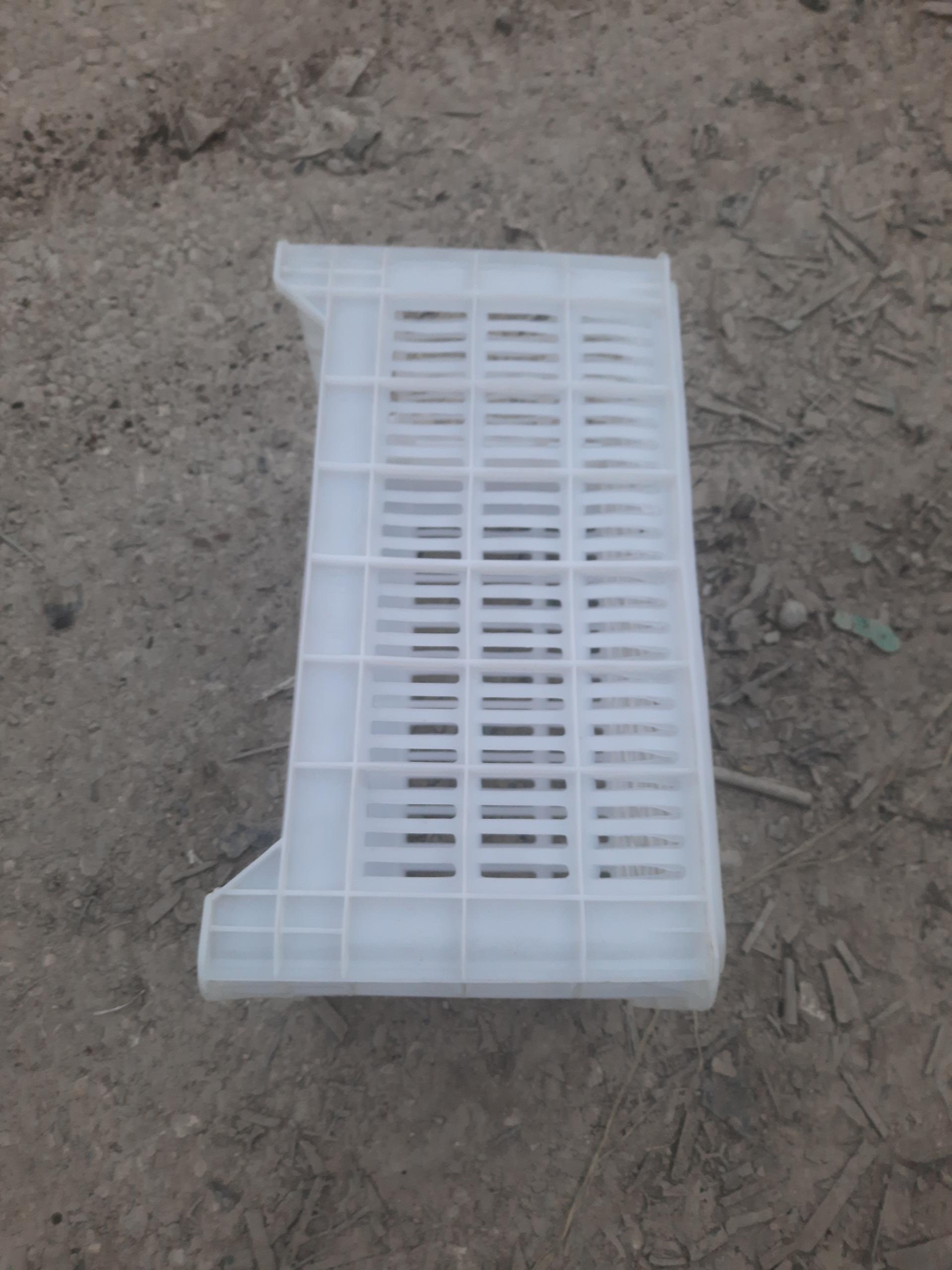 عکس سبد سازی منتظری