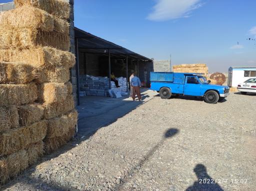 عکس خوراک دام محمودکاهی