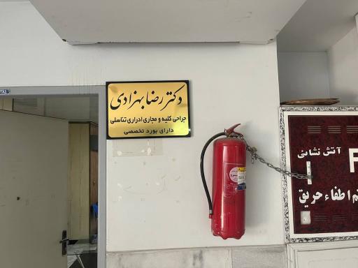 عکس دکتر رضا بهزادی جراحی کلیه و مجاری ادراری