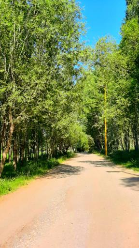 عکس مجموعه تفرجگاه بولاغلار نیر