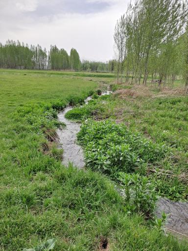 عکس مجموعه تفرجگاه بولاغلار نیر