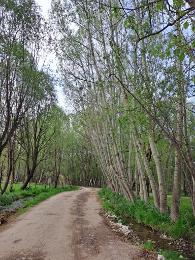 عکس مجموعه تفرجگاه بولاغلار نیر