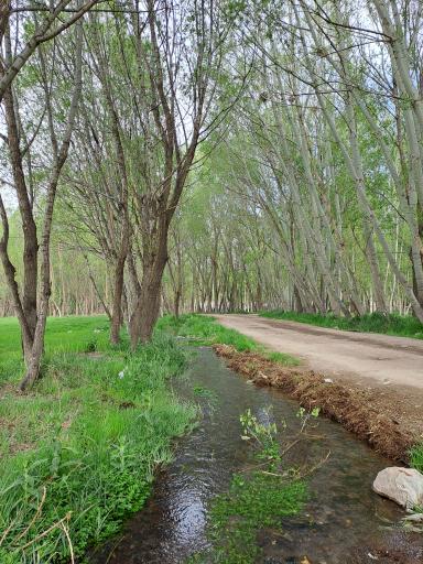 عکس مجموعه تفرجگاه بولاغلار نیر