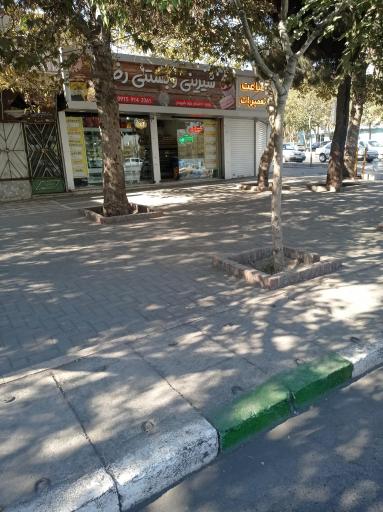 عکس شیرینی و بستنی رضا شعبه۲