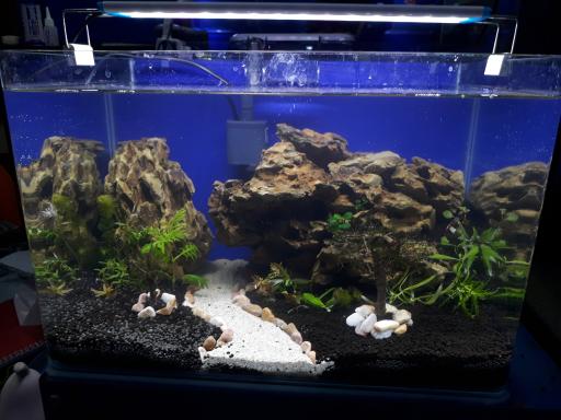 عکس آکواریوم غرب